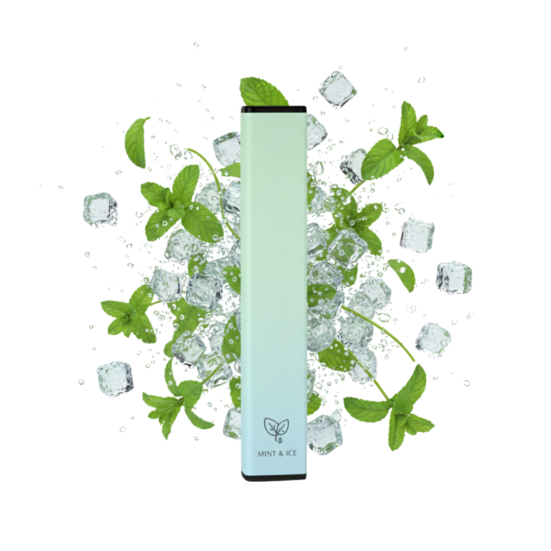 CESARBAR I Mint & Ice